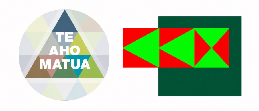 Te Rūnanga nui o ngā Kura Kaupapa Māori o Aotearoa